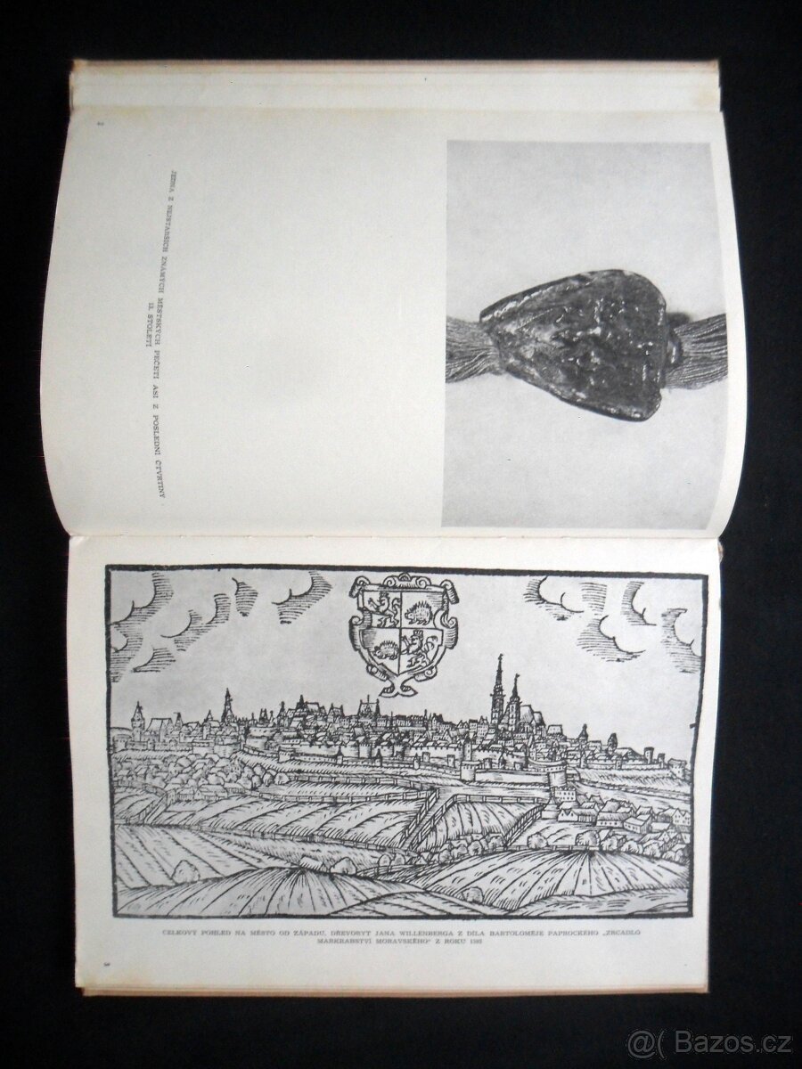 Umělecké památky Jihlavy ( rozfoceno 20 snímků ) - 8