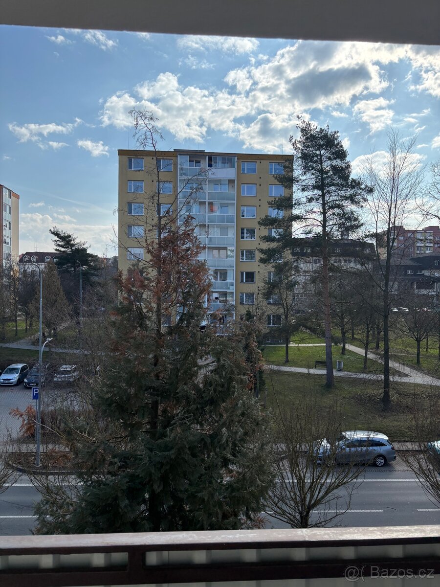 Pronájem bytu 2+1 - 8