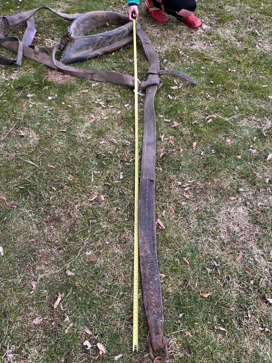 Postroj na koně - 8