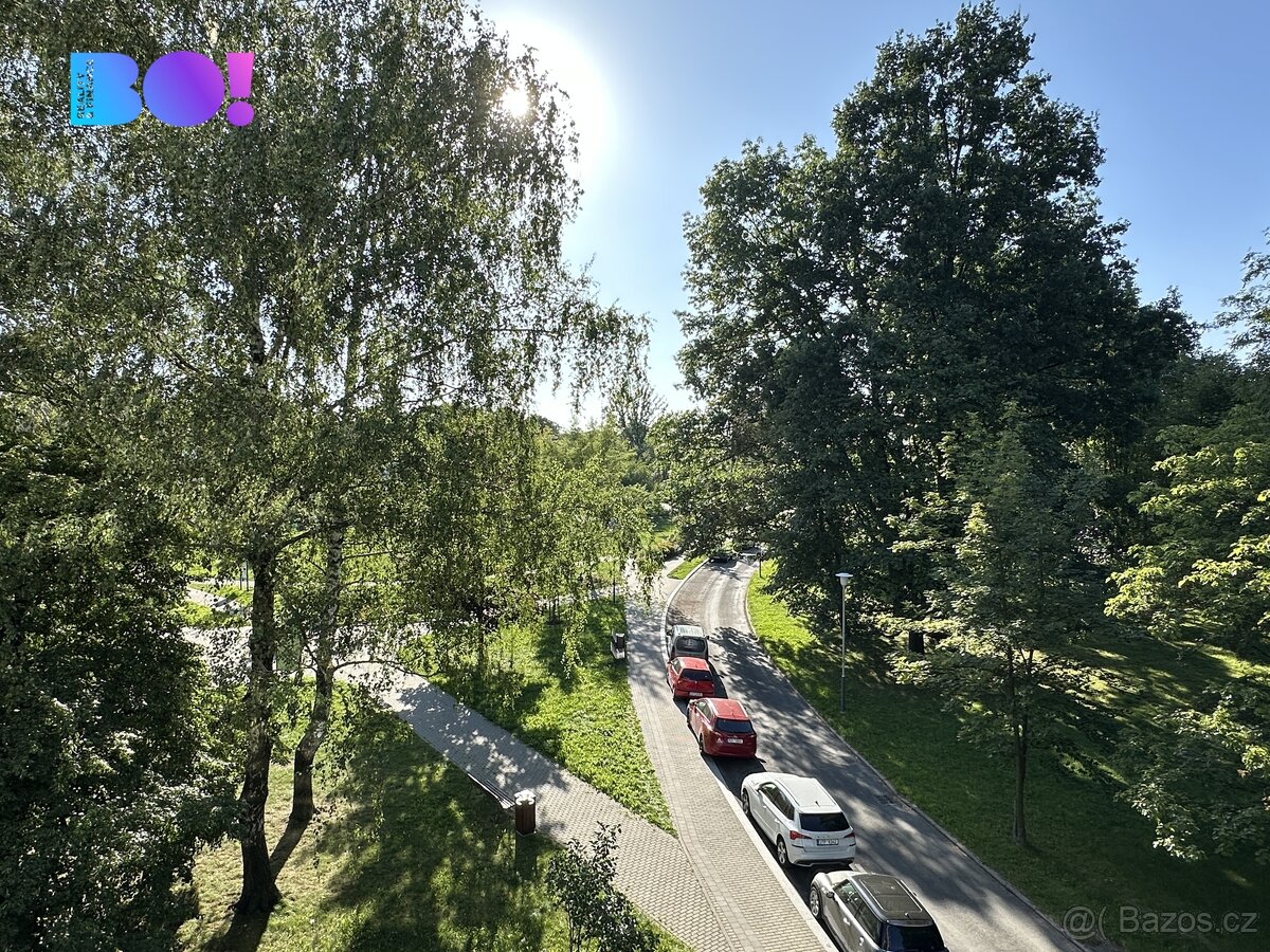 Prodej bytu 2+1, Ostrava - Zábřeh - 8