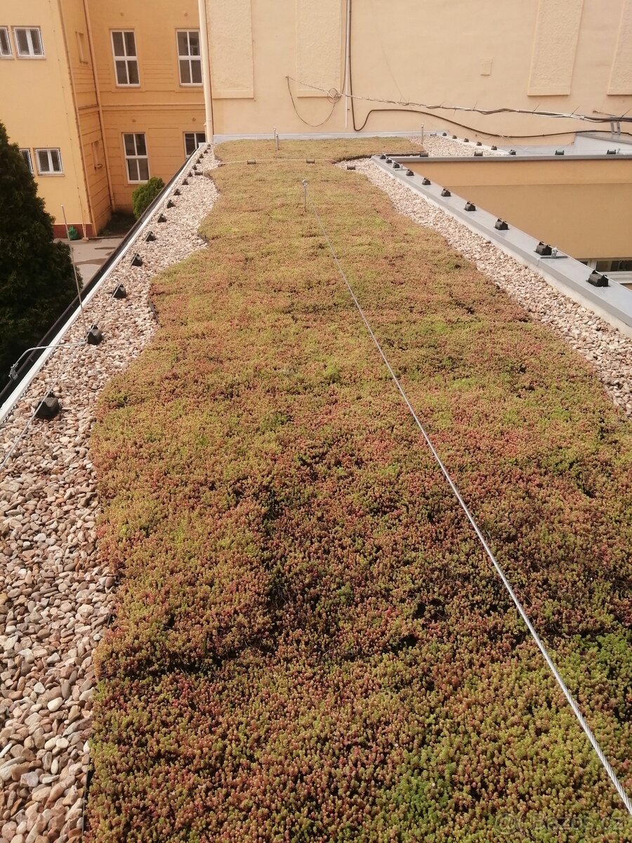 Hydroizolace střech, PVC + TPO + zemni vlhkost + asfalt - 8