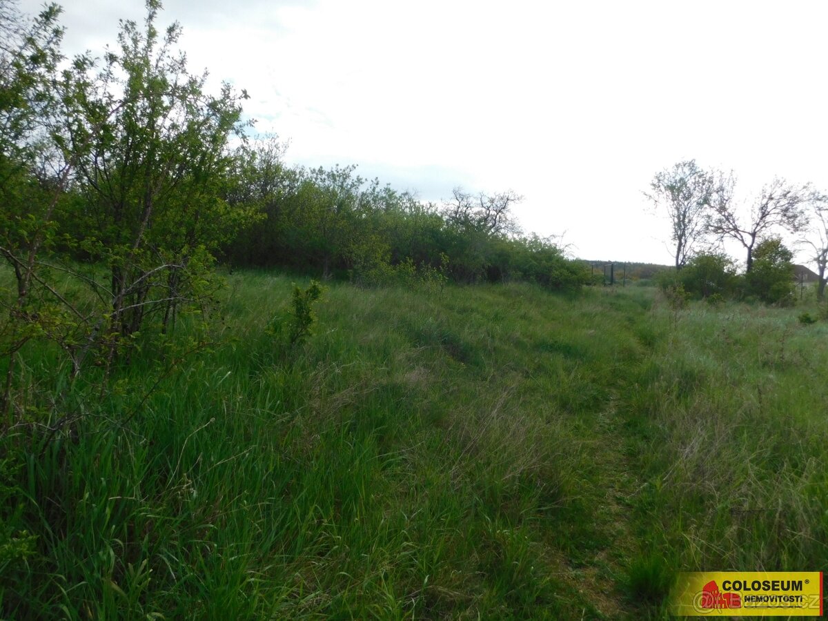 Znojmo, zahrada 473 m2, elektřina, voda, ovocné stromy - zah - 8