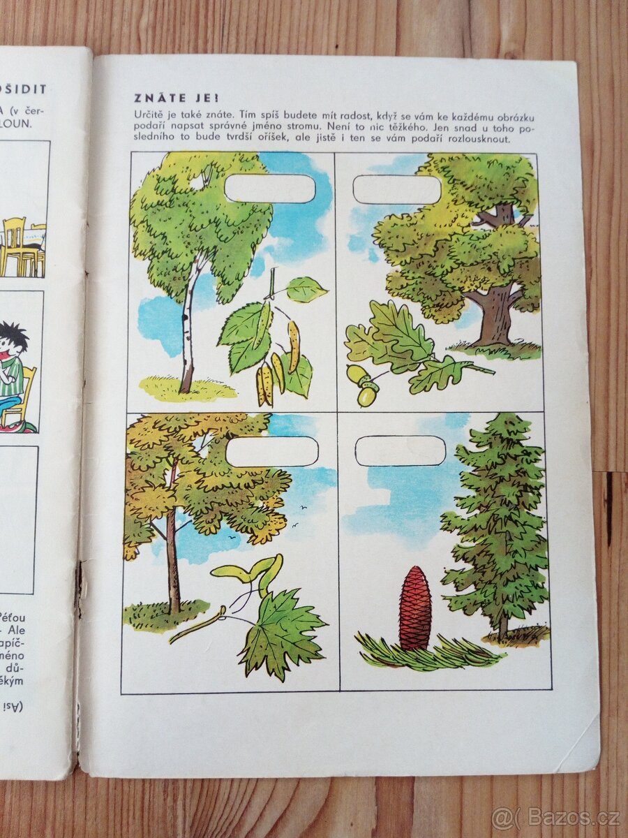 Čtyřlístek č.31 Přistání v divočině - 8