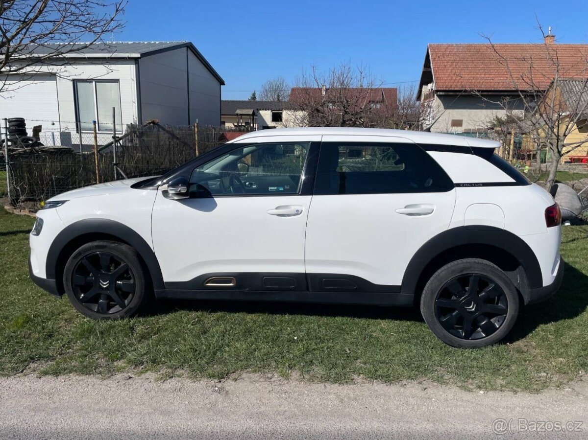 Citroën C4 Cactus 2019 1.2 81 kW - 8