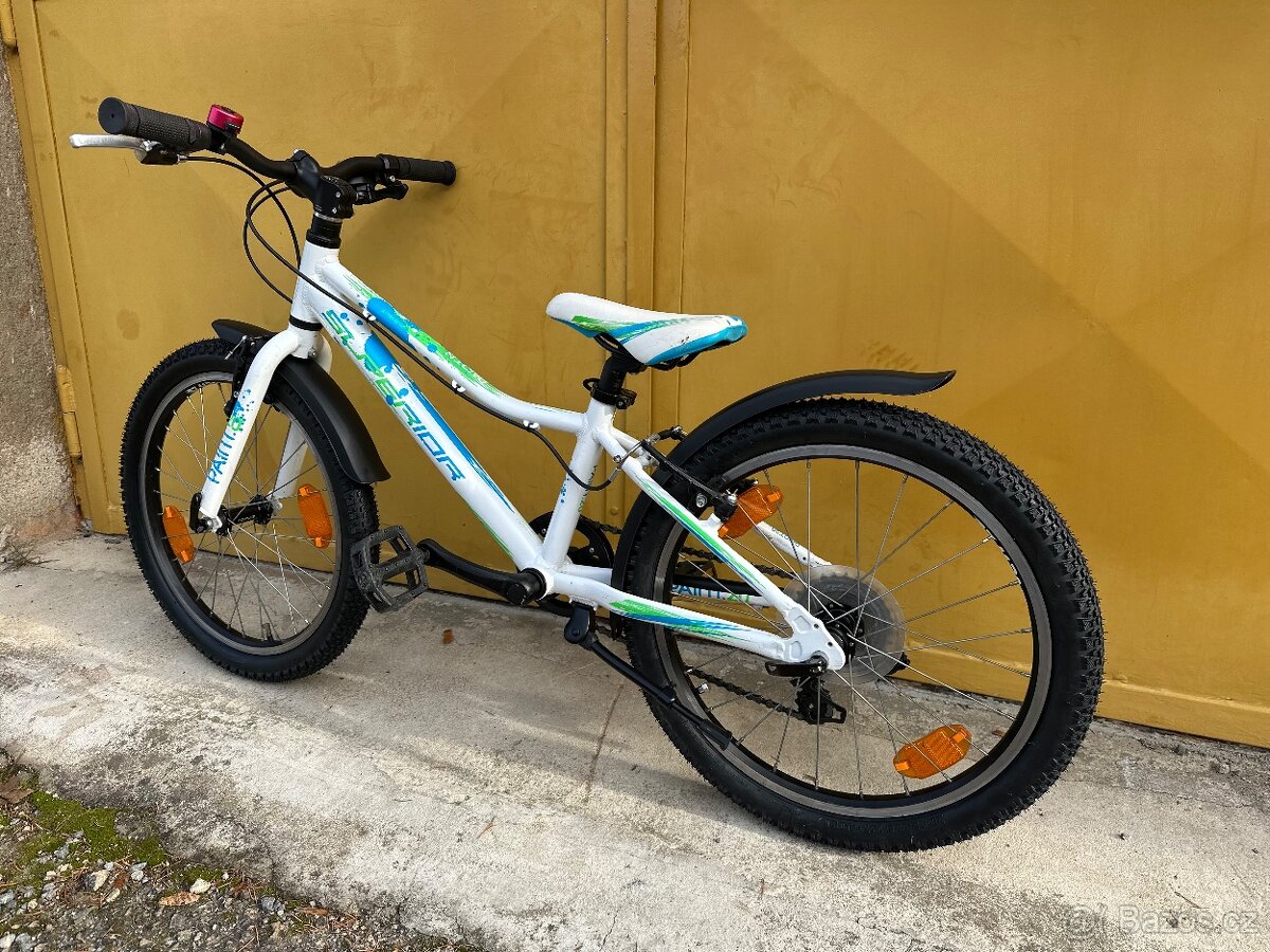 Superior Paint 20 kolo s páčkovým řazením - váha 9,5kg - 8