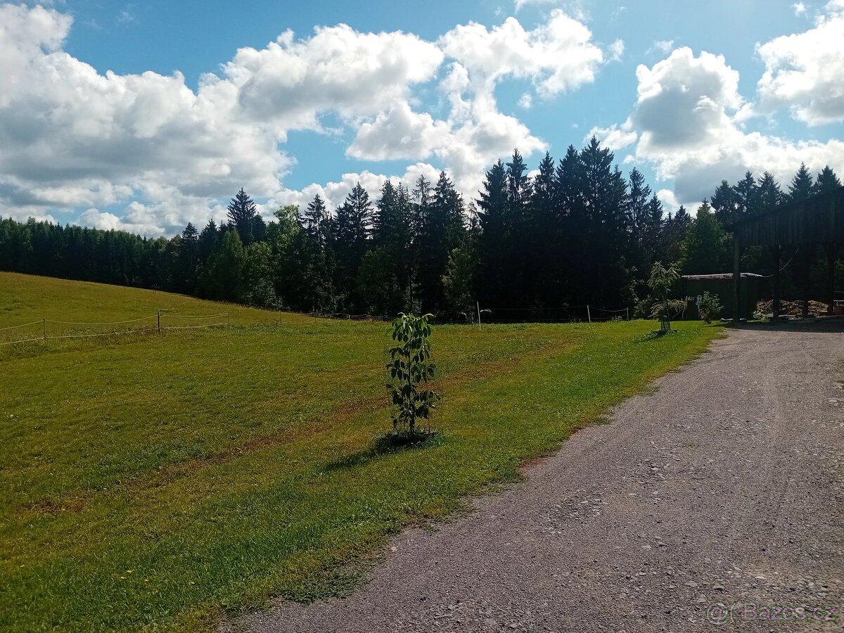 Pastevní ustájení - 8