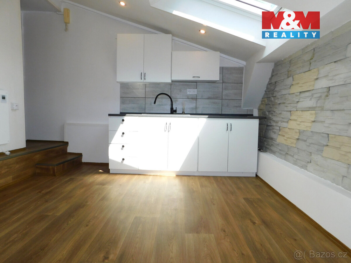 Pronájem bytu 1+1, 29 m², Mariánské Lázně, ul. Třebízského - 8