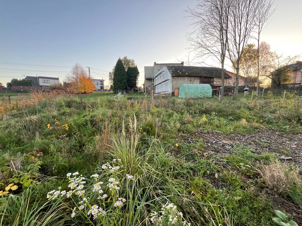 Prodej, pozemek 4200m2 - 8