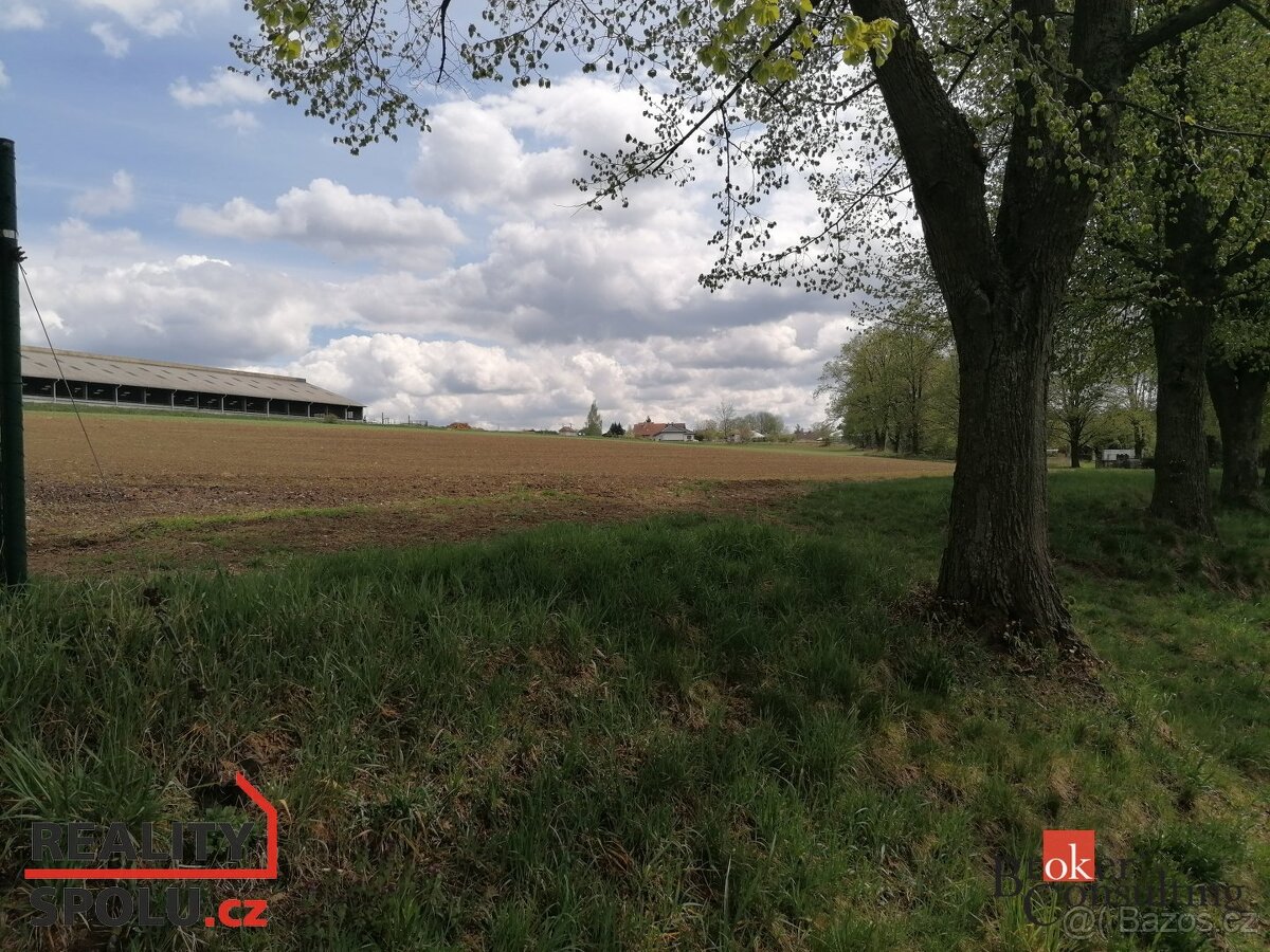 Prodej, pozemky/bydlení, 4121 m2, Nové Dvory, Žďár nad Sázav - 8