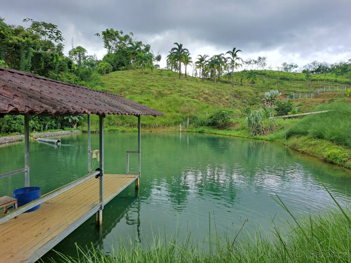 Farma Kostarika Guayacará 152 Ha - 8