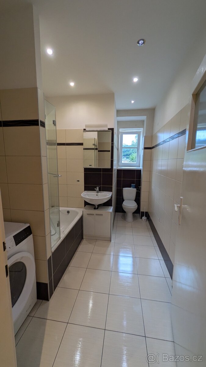 (REZERVACE) Pronájem, prostorný byt 1+1 53 m - 8