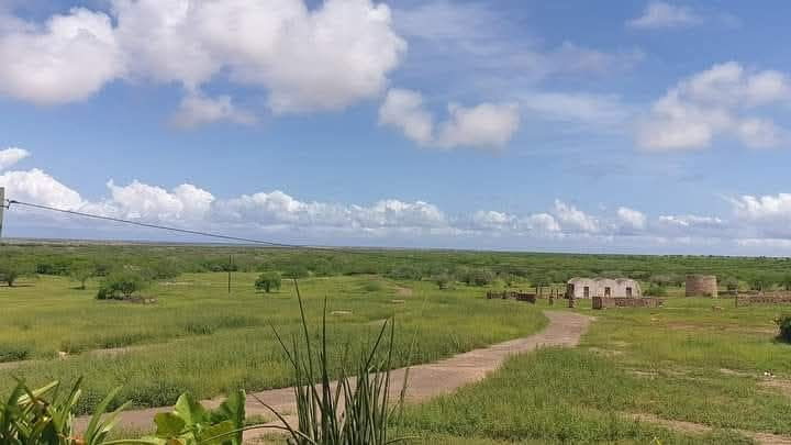 STAVEBNÍ POZEMEK U MOŘE - KAPVERDY/CABO VERDE – MAIO 1705m2 - 8