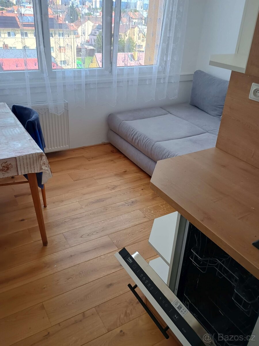 2+1 České Budějovice Branišovská - u Jihočeské univerzity - 8