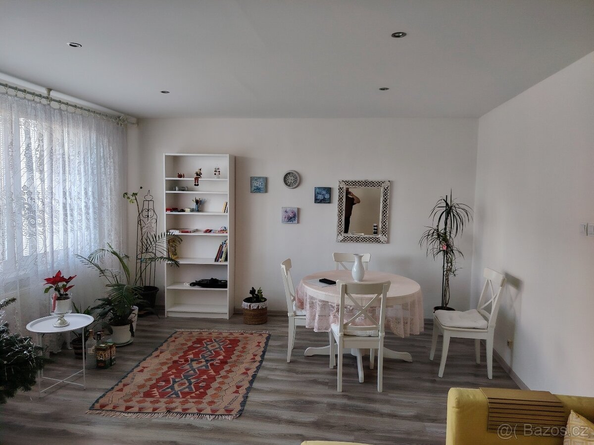 Pronájem domu v Teplicích - 8