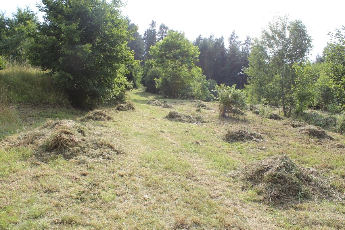 Sečení trávy křovinořezem a sekačkou - Rakovník. - 8