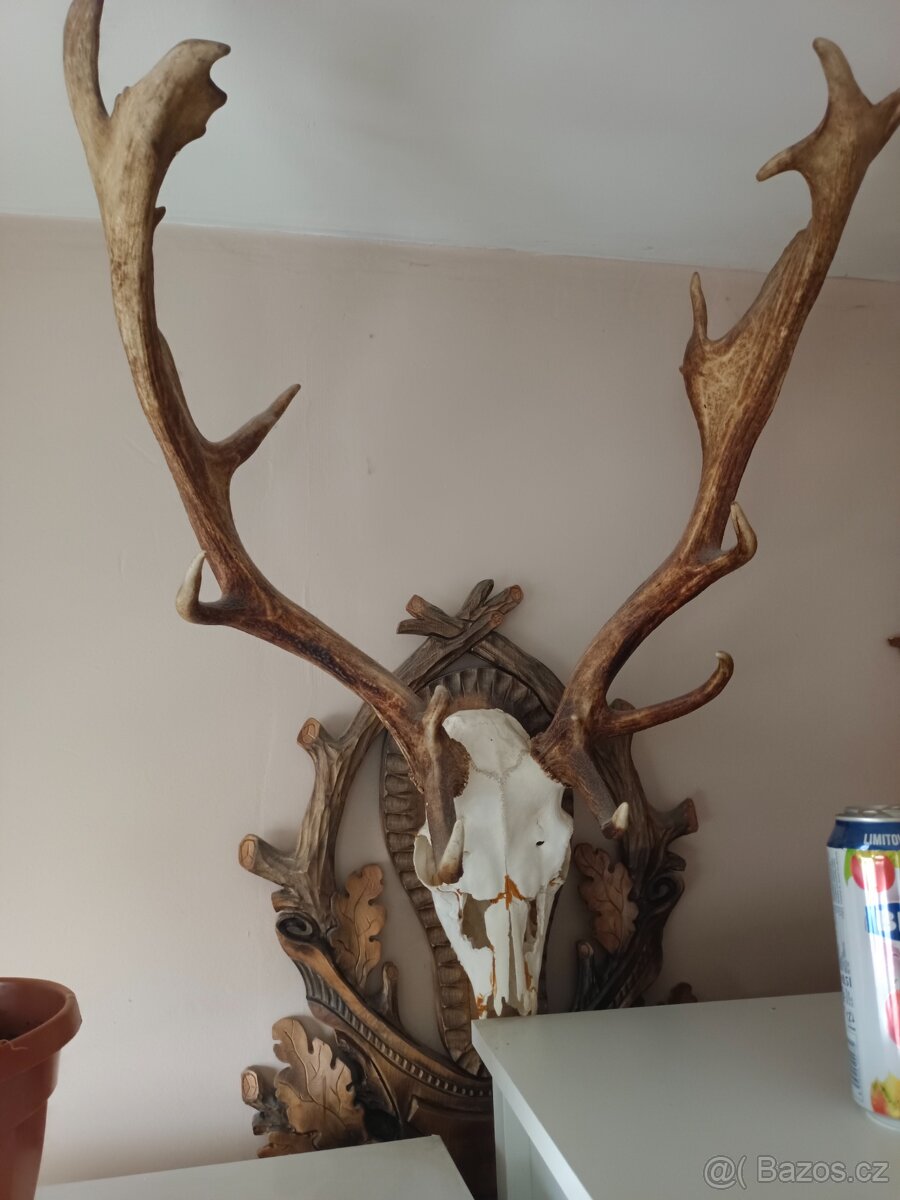 Lovecké trofeje - 8