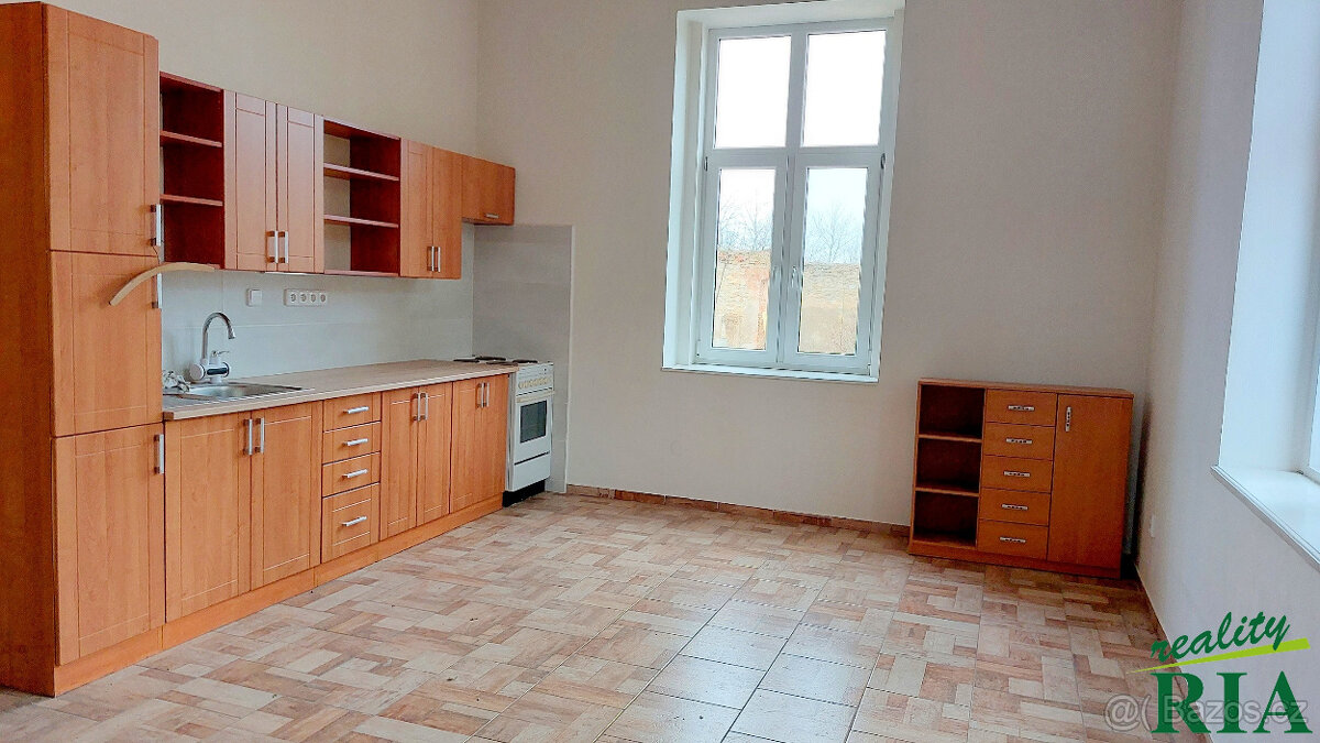 Hrubý Jeseník 8km od Nymburka byt 2+1, zahrada - 8