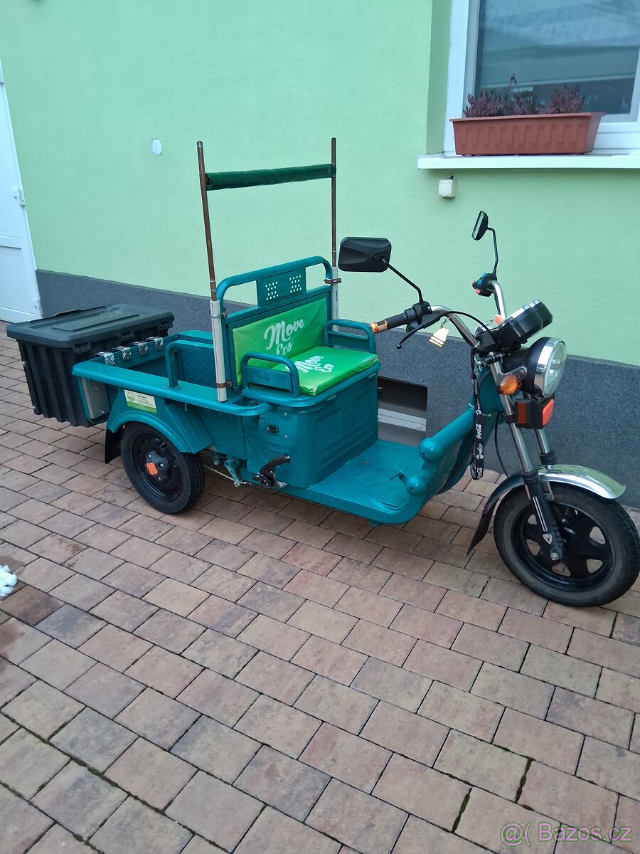 Elektrická tříkolka Cargo 250 - 8