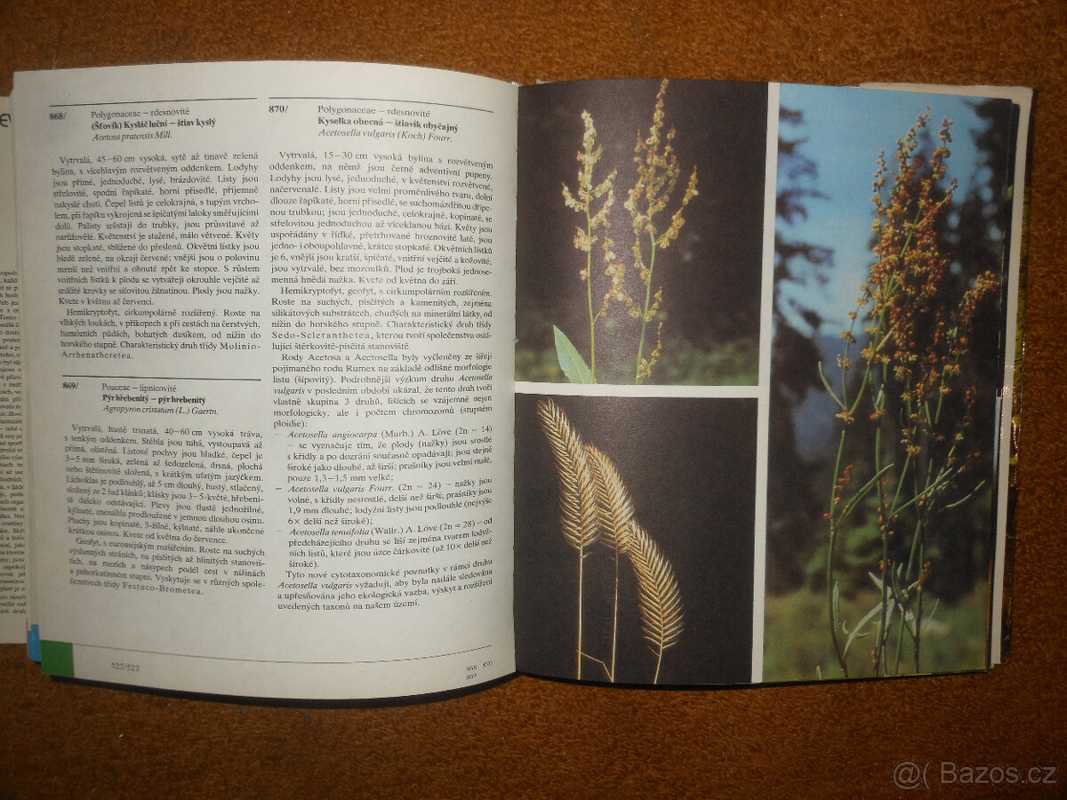 Barevný atlas rostlin - 8