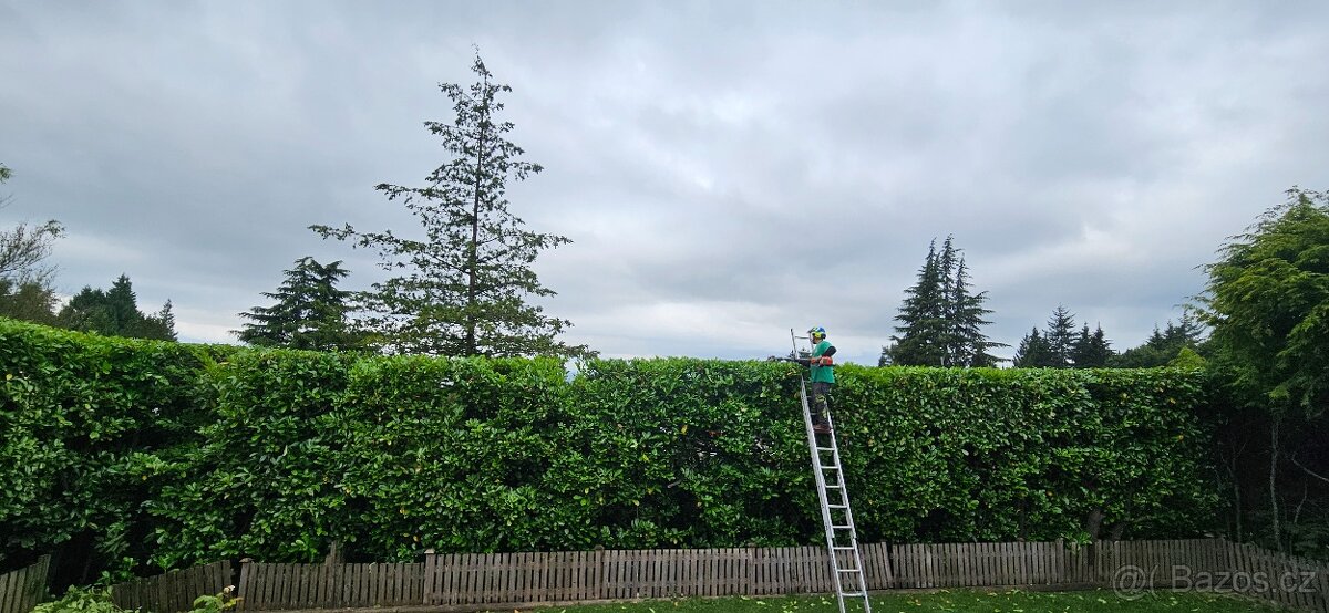 Stromolezec, arborista, udrzby zelene - 8