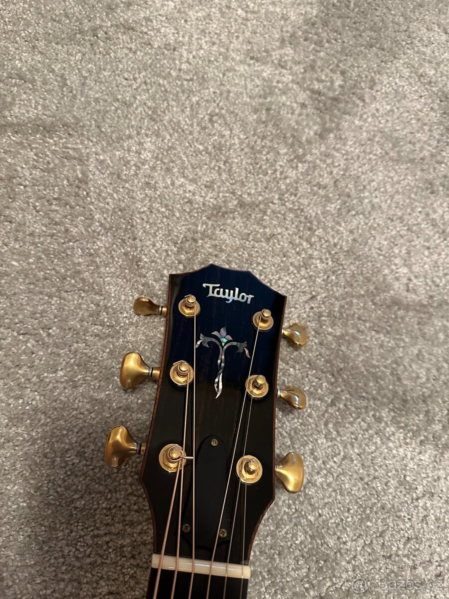 Taylor 910e / R.V 2014 / DREADNOUGHT / - 8