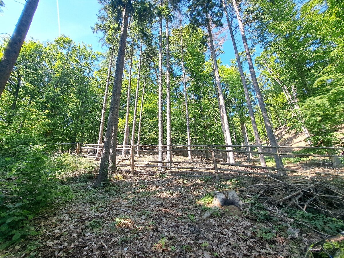 Prodej rekreačního domu, 129 m² Týnec nad Sázavou - Čakovice - 8