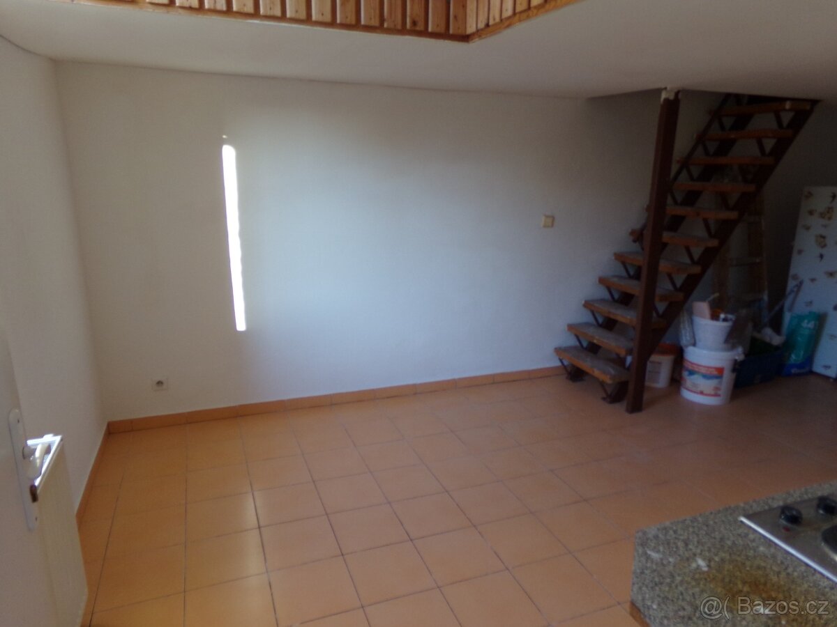 Pronájem bytu 1+1, Podnásepní, 75m2 - 8