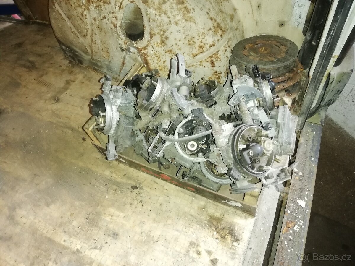 Favorit, Felicia - 8