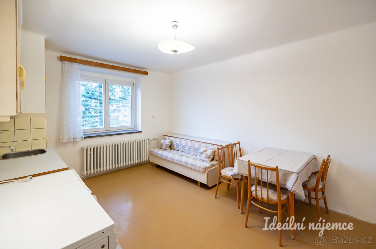Pronájem bytu 2+1, Krupná, Komořany, 55 m2 - 8