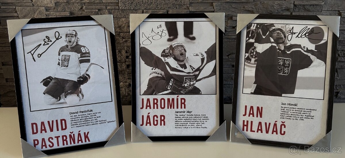 Jiří Procházka - Obraz s rámem v ceně - 8