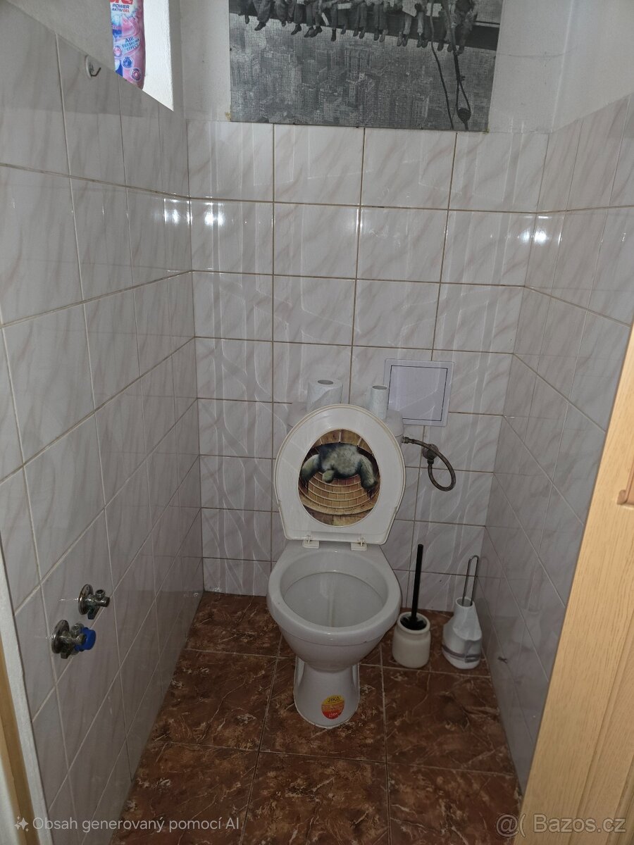 Prodej baráku, chalupy - 8