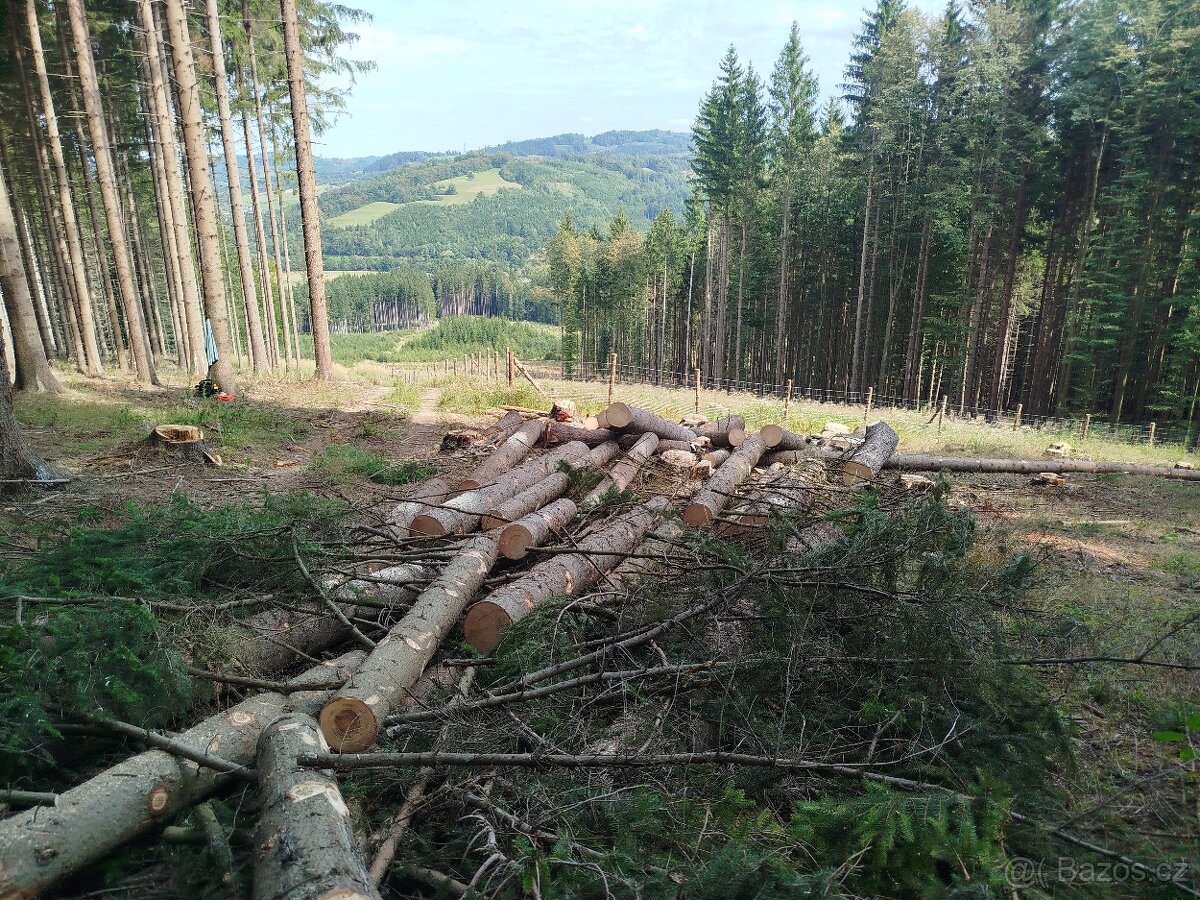 Lesnické práce - 8