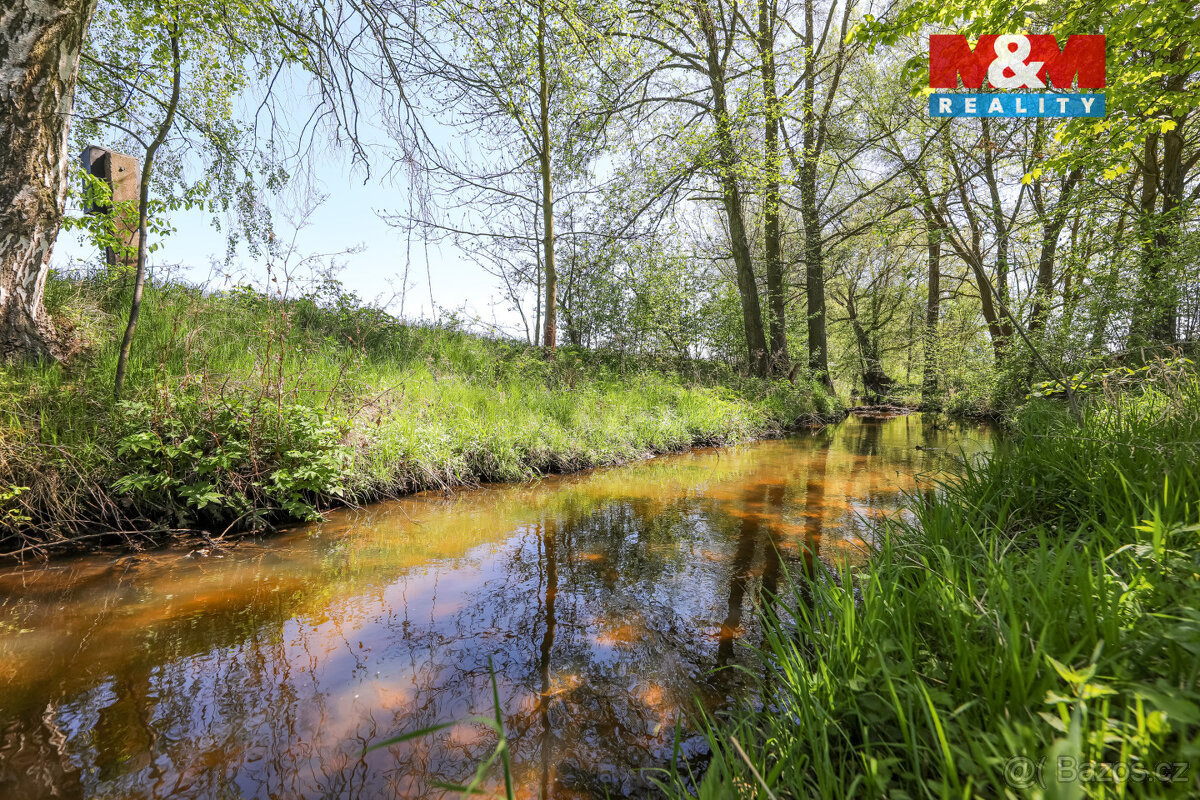 Prodej pozemku, 4590 m², Horní Bříza - 8