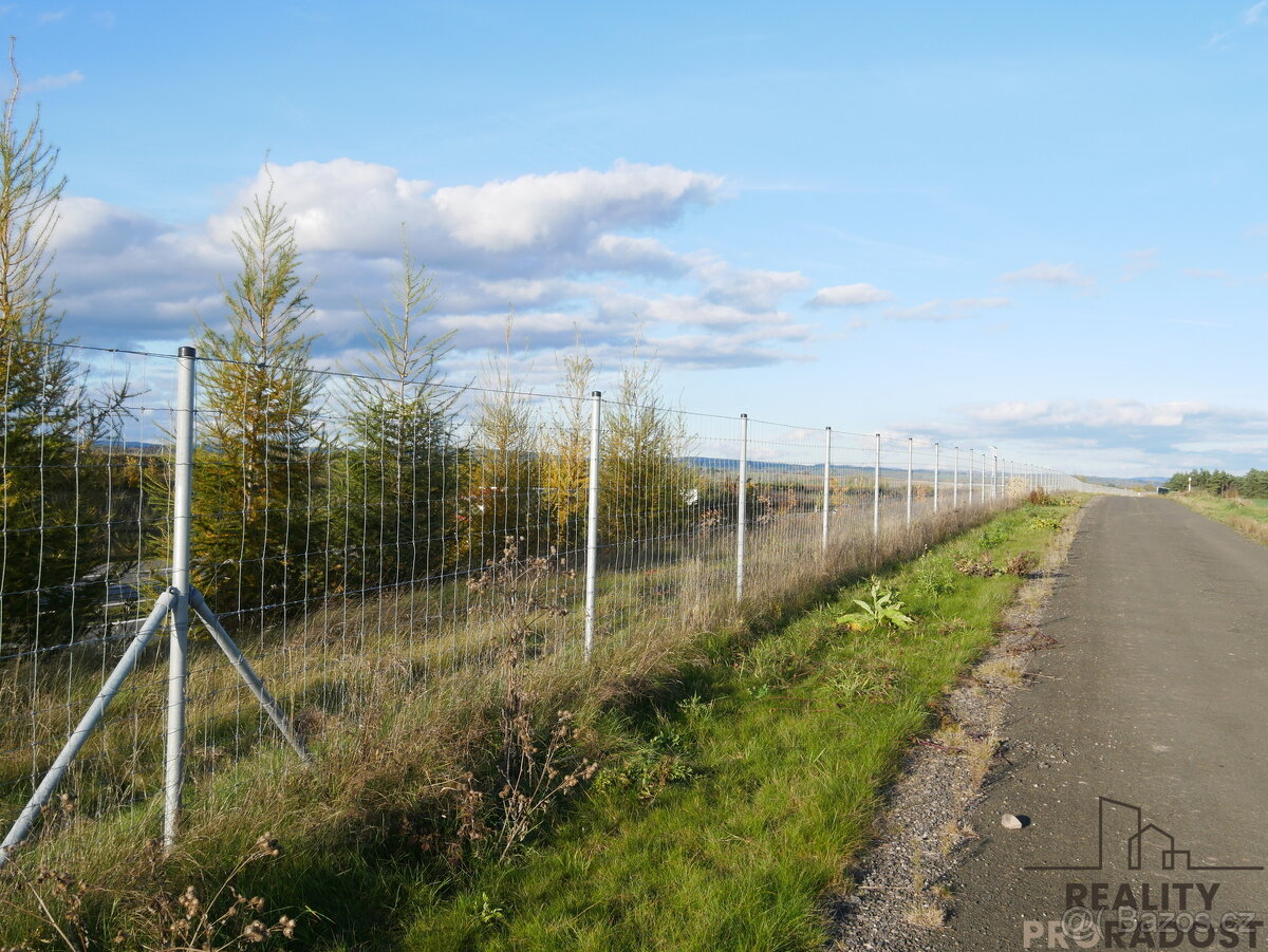 Prodej komerčního prostoru - 8