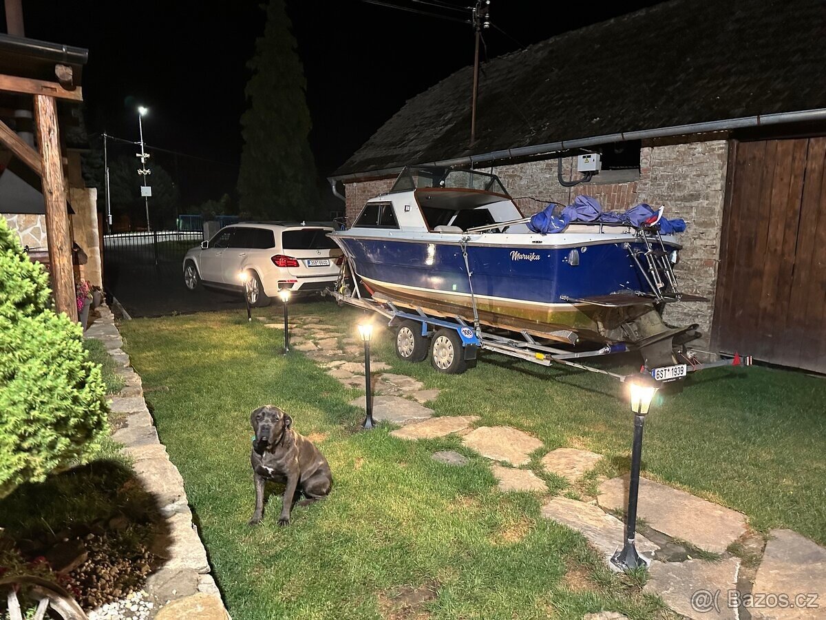 SWAYZER SAPHIR 650 CUP - 8