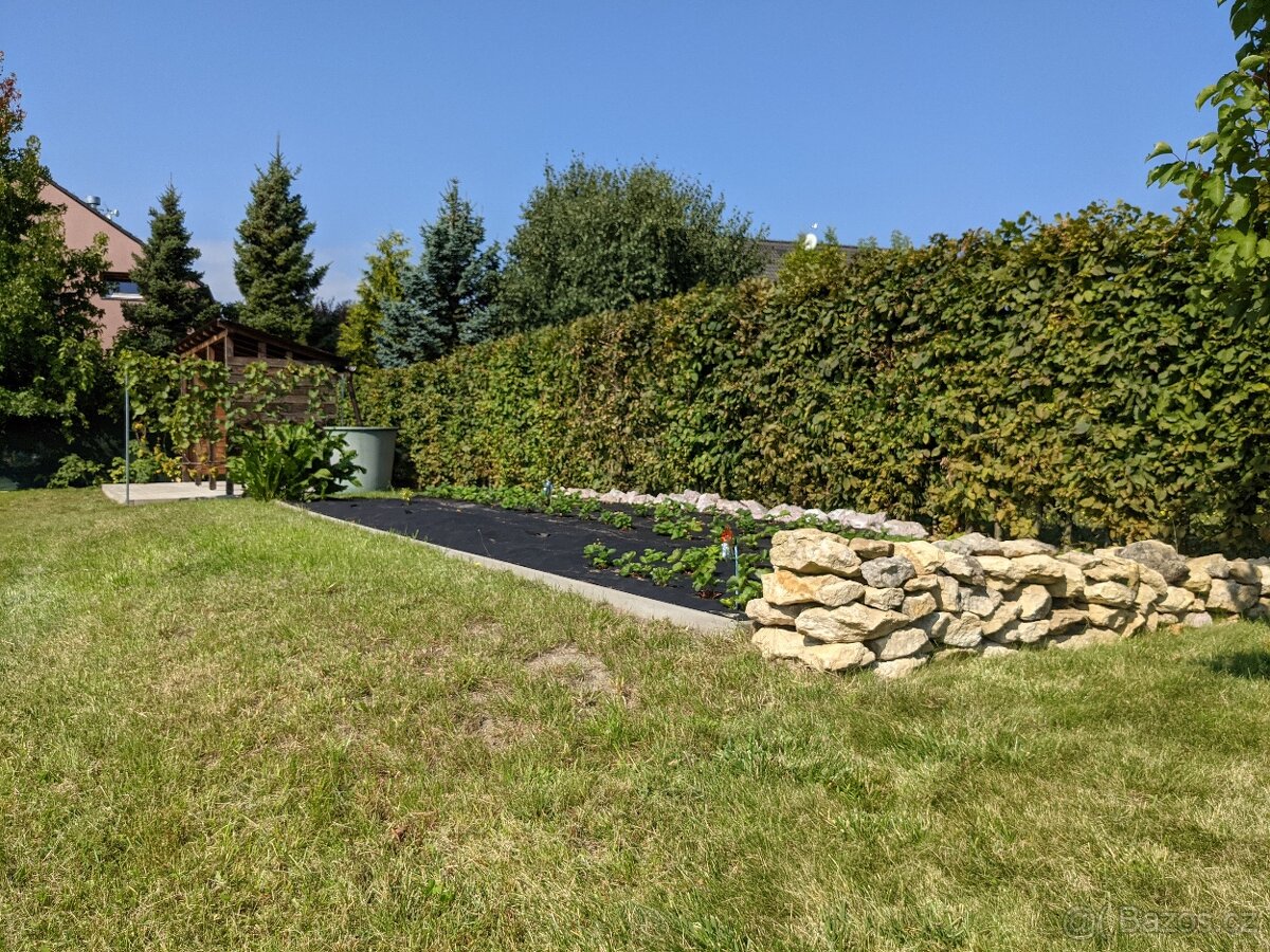 Pronájem zahrady - Bradlec, 977 m2 - 8