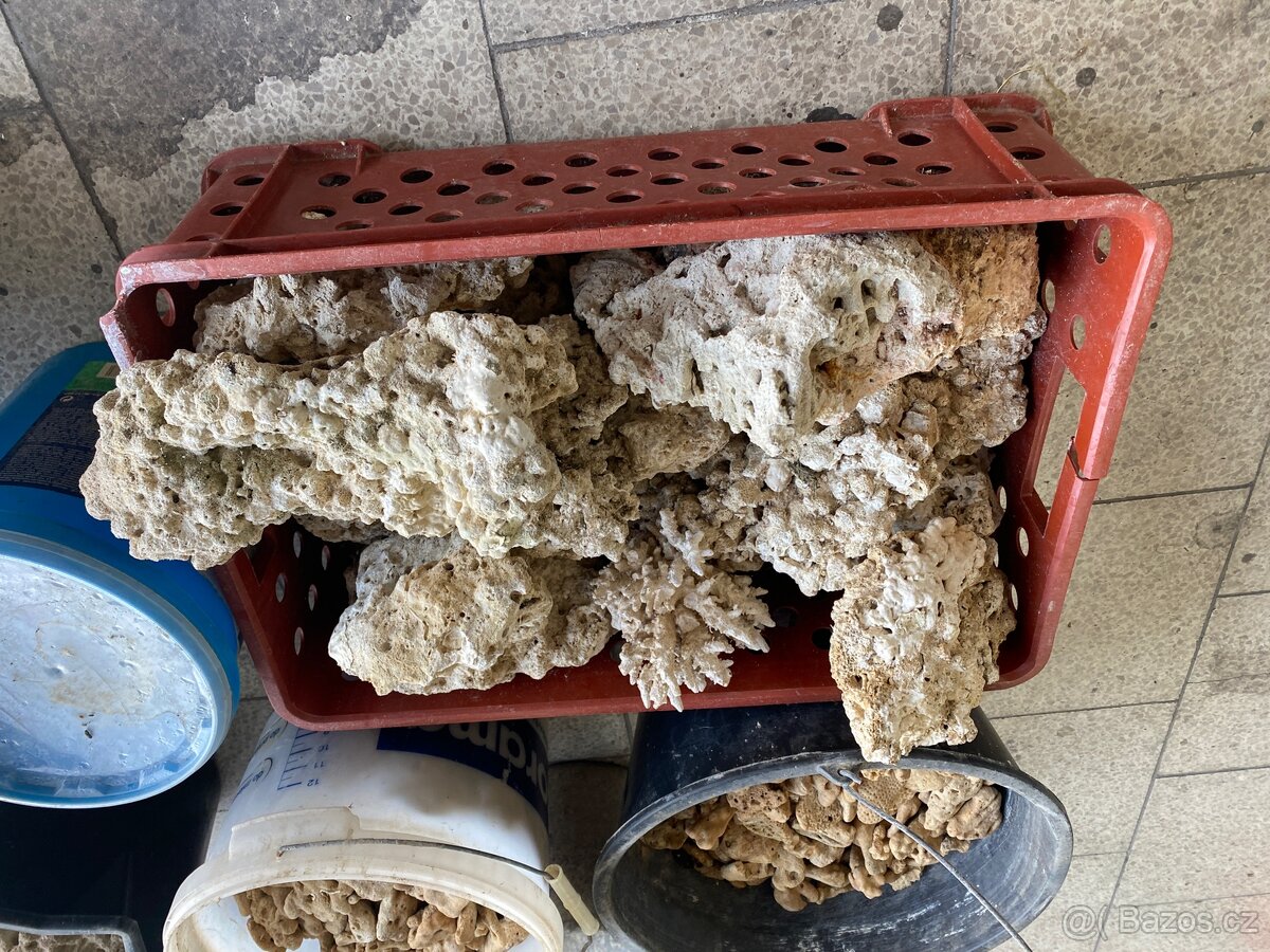 Mořské akvárium - 8