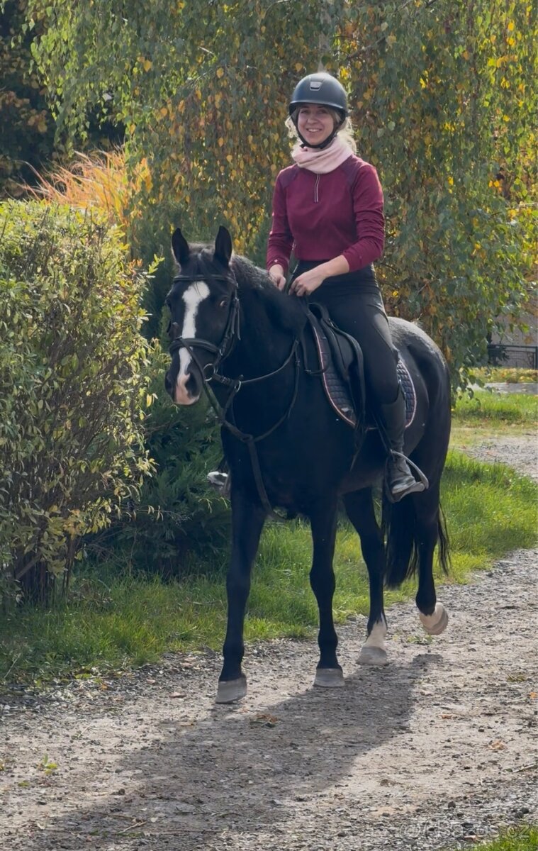 pony klisna do sportu - 8