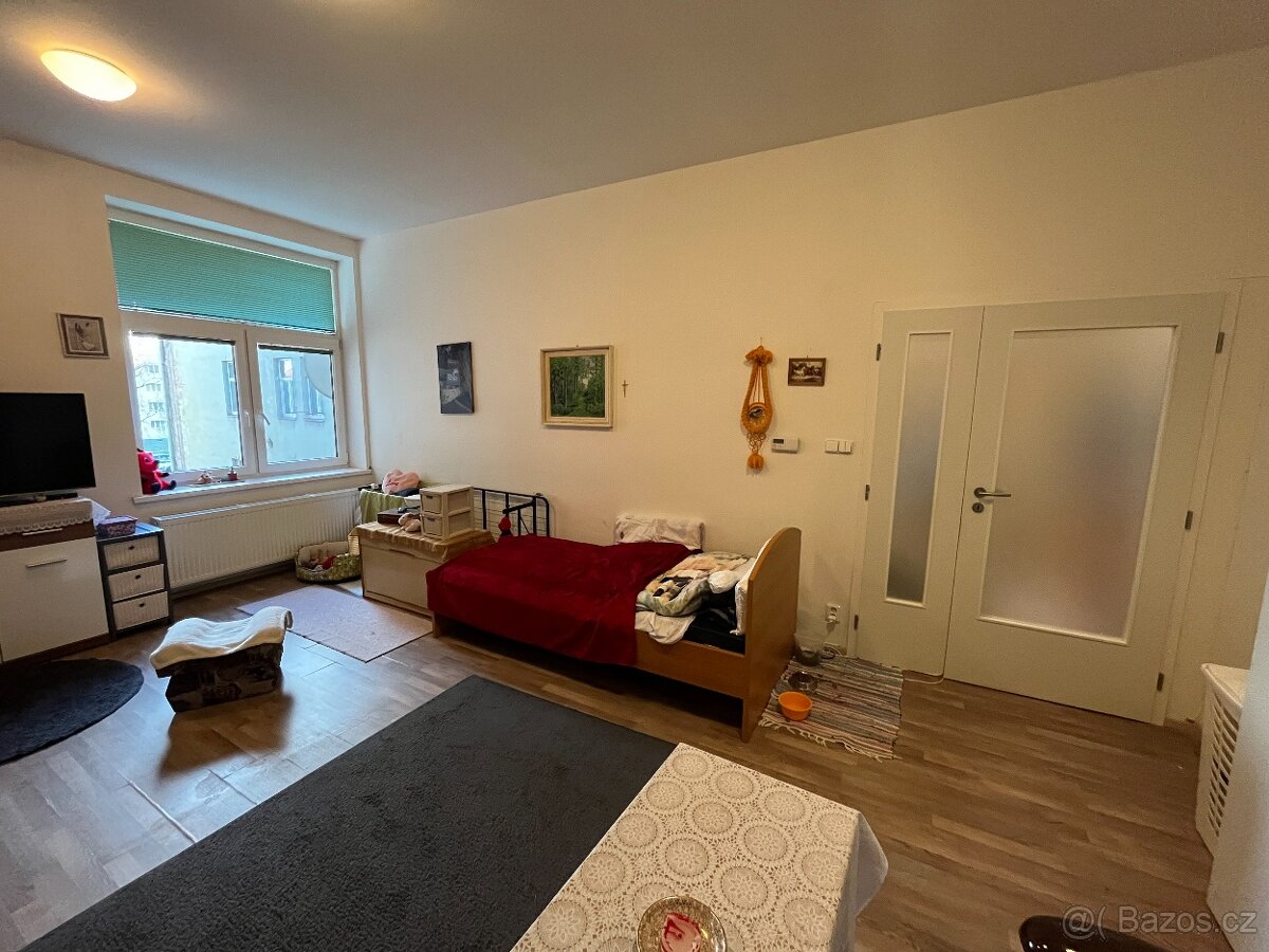 Prodej bytu 1+1, 47m², ulice Sokolovská, Opava - 8