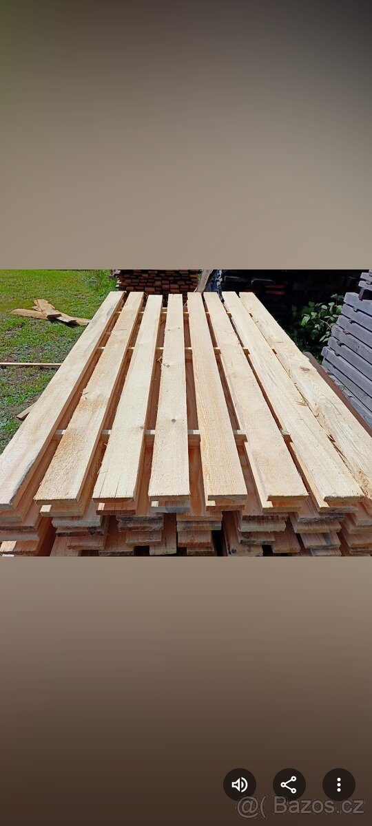 Borovice prkna - 8