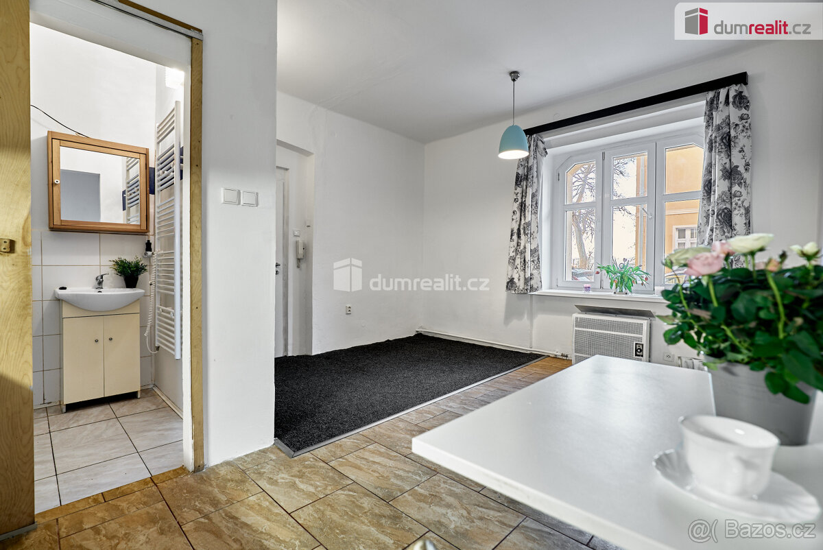 Pronájem bytu 1+kk, 21 m2, Emy Destinové, Ústí nad Labem - 8