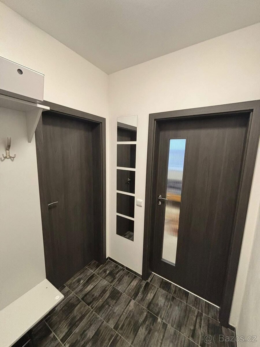 Pronájem bytu - 8