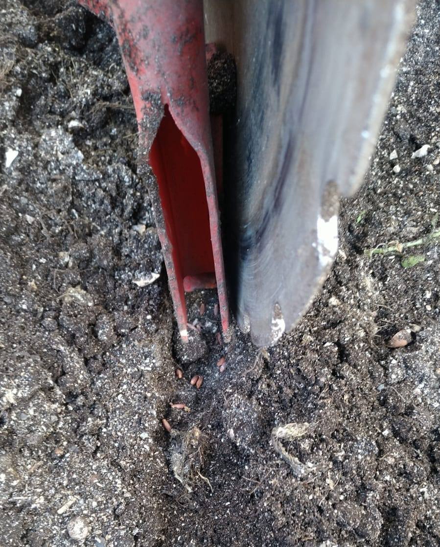 Secí stroj pro přímé setí (no-till) - 8