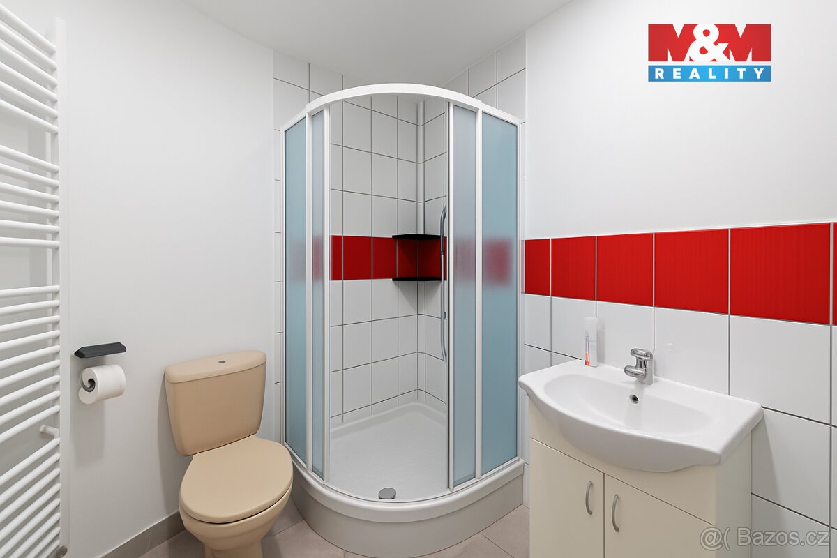 Prodej ostatní, 250 m², Svatava, ul. U Přádelny - 8