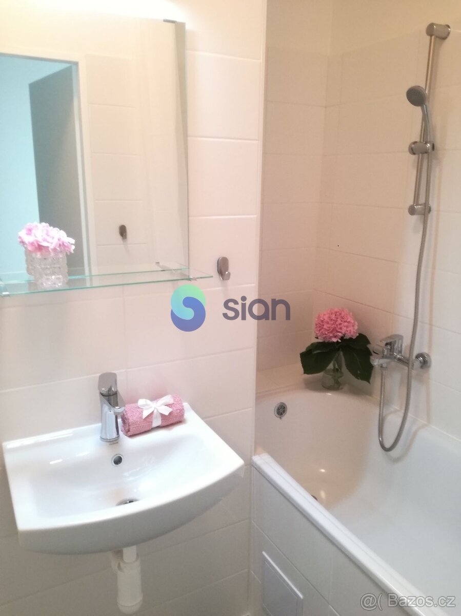 Podnájem bytu 1+1 36 m2, ul. Dr. Martínka 1157/53, Ostrava - - 8