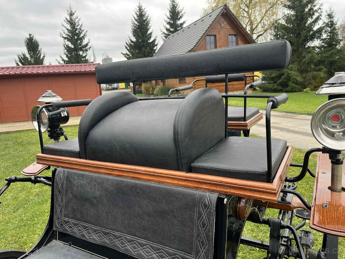 Prodám drezurní kočár Aron - 8