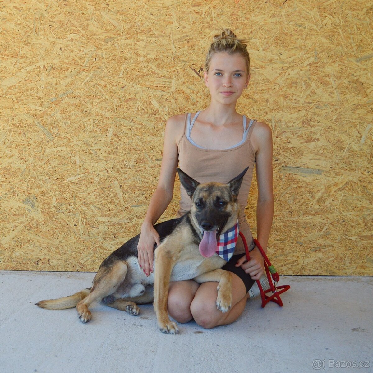 Norton hledá domov - 8