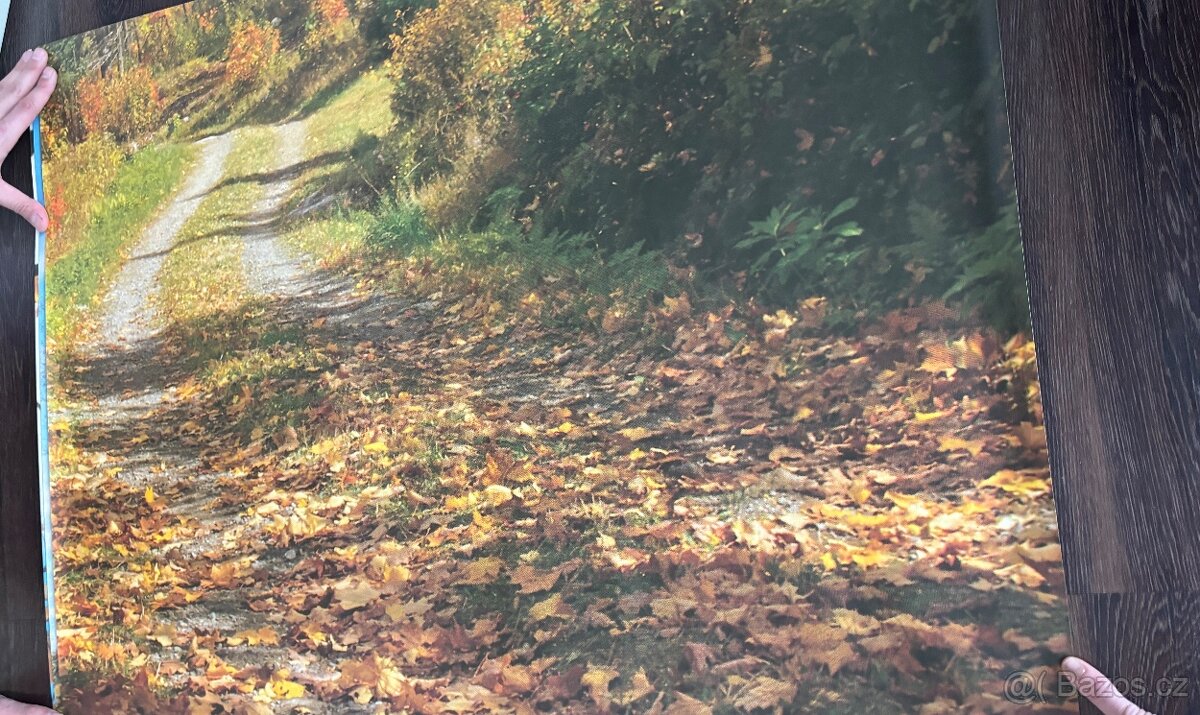 Obrazová tapeta Podzimní romance - 8