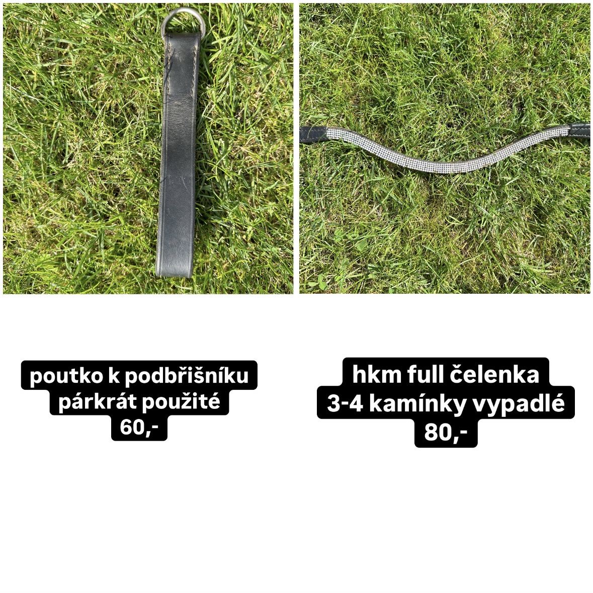 Prodám více věcí na koně - 8