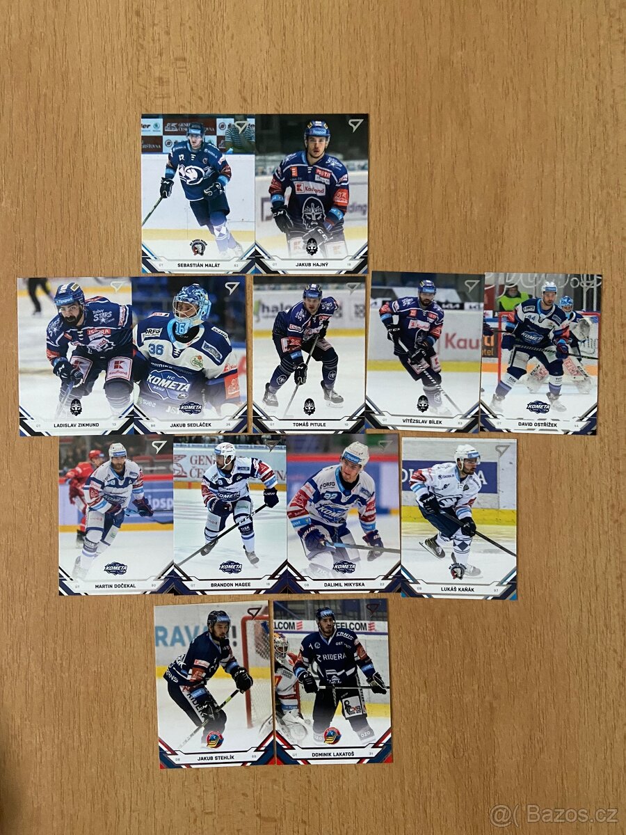 Hokejové kartičky - 8